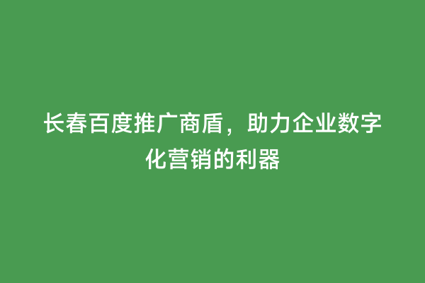 长春百度推广商盾，助力企业数字化营销的利器
