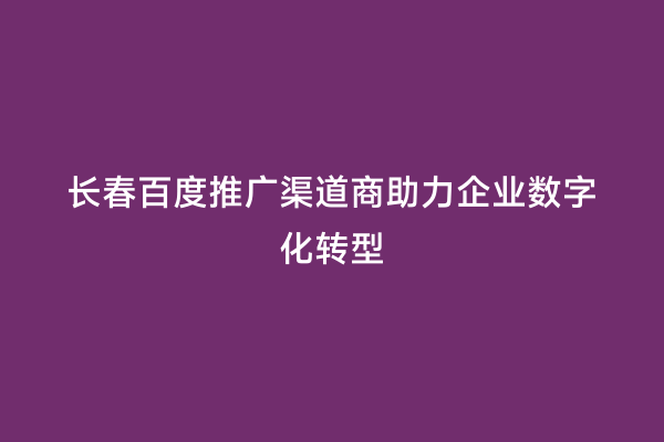长春百度推广渠道商助力企业数字化转型