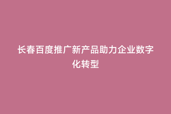 长春百度推广新产品助力企业数字化转型