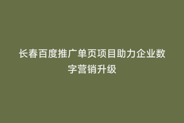 长春百度推广单页项目助力企业数字营销升级
