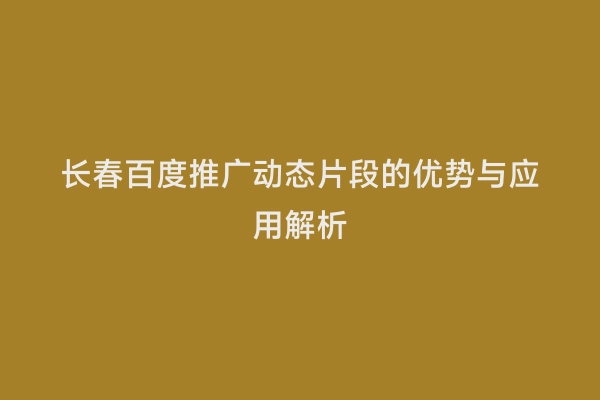 长春百度推广动态片段的优势与应用解析