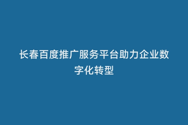 长春百度推广服务平台助力企业数字化转型