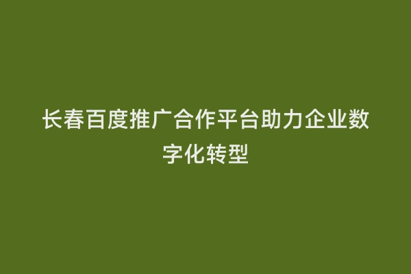 长春百度推广合作平台助力企业数字化转型