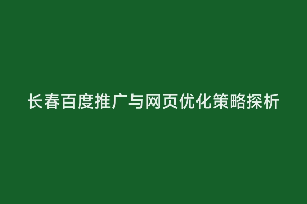 长春百度推广与网页优化策略探析