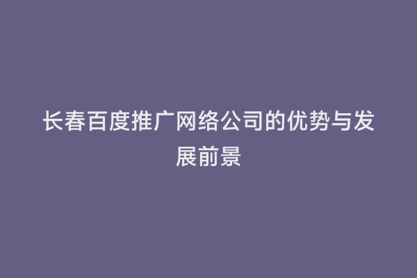 长春百度推广网络公司的优势与发展前景