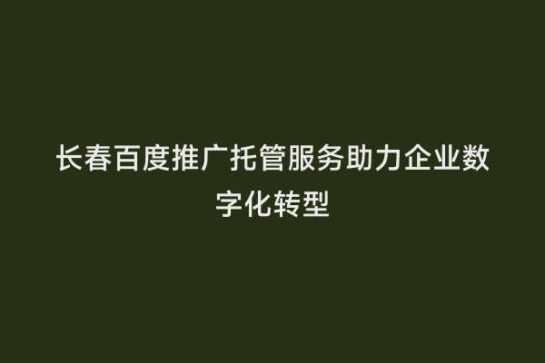 长春百度推广托管服务助力企业数字化转型