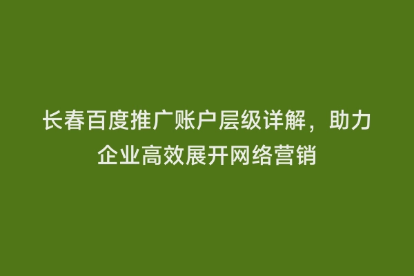 长春百度推广账户层级详解，助力企业高效展开网络营销