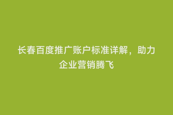 长春百度推广账户标准详解，助力企业营销腾飞