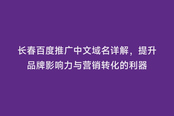 长春百度推广中文域名详解，提升品牌影响力与营销转化的利器