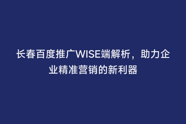 长春百度推广WISE端解析，助力企业精准营销的新利器