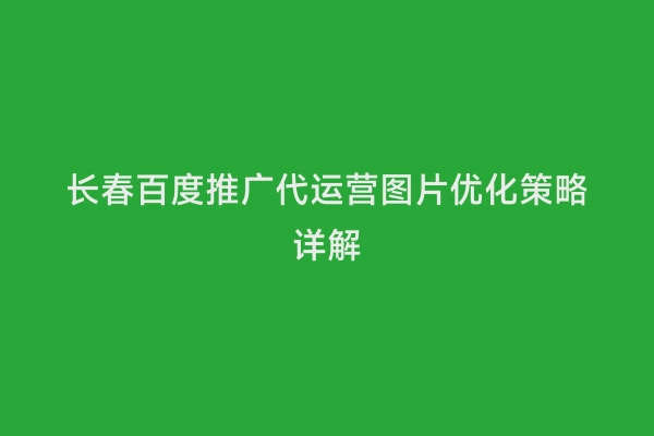长春百度推广代运营图片优化策略详解