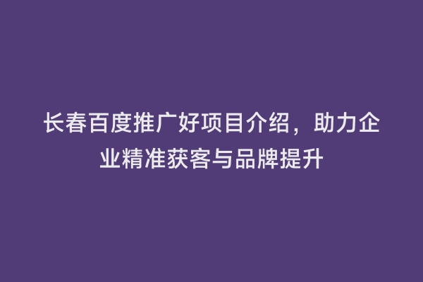 长春百度推广好项目介绍，助力企业精准获客与品牌提升